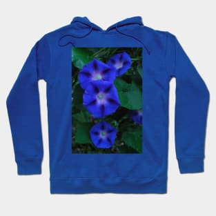 Blue Morning Drops Hoodie